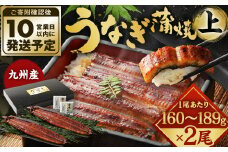 九州産 うなぎ 蒲焼 上 2尾 (1尾あたり160～189g)【順次発送】