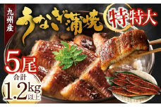 九州産 うなぎ蒲焼 特特大5尾 (1尾あたり250～266g) 合計：1.2kg以上【2025年9月発送】