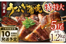 九州産 うなぎ蒲焼 特特大5尾 (1尾あたり250～266g) 合計：1.2kg以上【順次発送】