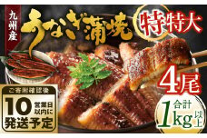 九州産 うなぎ蒲焼 特特大4尾 (1尾あたり250～266g) 合計：1kg以上【順次発送】