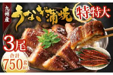 九州産 うなぎ蒲焼 特特大3尾 (1尾あたり250～266g) 合計750g以上【2025年9月発送】