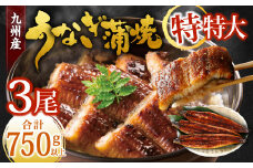 九州産 うなぎ蒲焼 特特大3尾 (1尾あたり250～266g) 合計750g以上【2025年9月発送】