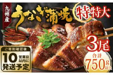 九州産 うなぎ蒲焼 特特大3尾 (1尾あたり250～266g) 合計750g以上【順次発送】
