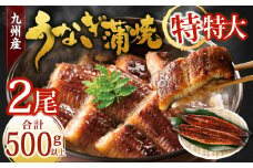 九州産 うなぎ蒲焼 特特大2尾 (1尾あたり250～266g) 合計500g以上【2025年9月発送】