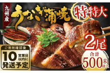 九州産 うなぎ蒲焼 特特大2尾 (1尾あたり250～266g) 合計500g以上【順次発送】