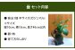 苔玉 ガジュマル -MOSS- 