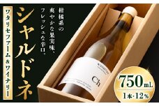 ワタリセファーム＆ワイナリー シャルドネ 750ml 1本 12％ ワイン 白ワイン 辛口 お酒 酒 アルコール