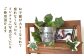 子供用の椅子 1脚
