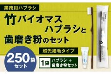 竹バイオマスハブラシと歯磨き粉のセット 250袋 歯ブラシ 歯磨き粉 歯磨き はみがき マウスケア 業務用 個包装 健康 竹製歯ブラシ 国産 九州 福岡県 北九州市