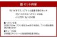 竹バイオマスハブラシと歯磨き粉のセット 250袋