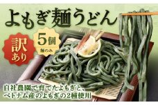 【 訳あり 】 よもぎ麺うどん 200g×5セット 合計1kg うどん よもぎ麺 うどん麺 麺 麺類 よもぎうどん よもぎ 冷凍 福岡県 北九州市