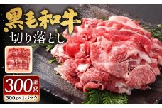 九州産 黒毛和牛 切り落とし 300g（300g×1パック）お肉 牛肉 国産牛 和牛 黒毛和牛 お肉 肉 冷凍 福岡県 北九州市