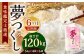 【令和7年度 新米 先行予約】 精米 食味鑑定士厳選 【6ヶ月定期便】 夢つくし 20kg×6回 計120kg