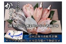 博多志賀島　干物かつやま定番干物詰合せ