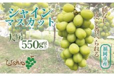 【2025年8月以降順次発送】福岡市産シャインマスカット【北海道・沖縄・離島配送不可】