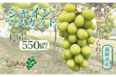 【2026年8月以降順次発送】福岡市産シャインマスカット【北海道・沖縄・離島配送不可】