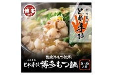 九州名物とめ手羽　博多もつ鍋セット　味噌味　5-6人前