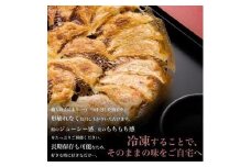 博多ひとくち餃子100個入