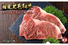 博多和牛サーロインステーキセット　500ｇ（250ｇ×2枚）