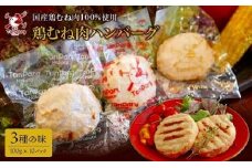 博多タンパーグ