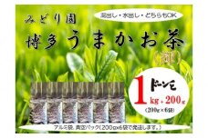 博多うまかお茶（輝）