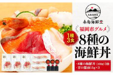 福岡市グルメ糸島海鮮堂の8種の海鮮丼3食セット