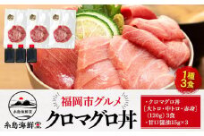 福岡市グルメ糸島海鮮堂のクロマグロ丼3食セット