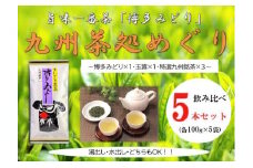 博多で作った九州茶処めぐり5本セット