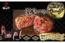 極味や博多ハンバーグ2個入りタレセット