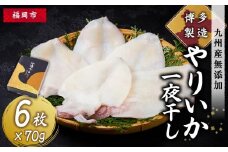 博多製造　九州産無添加やりいか一夜干し