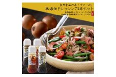 ギフトセット 警固ファームの無添加ドレッシング4本セット