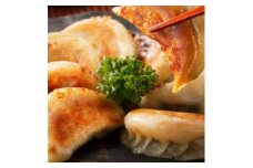  【博多のおみやげ　中華工房 点心点】博多一口餃子、黒豚焼餃子、点心包子、特製 餃子のタレ付き