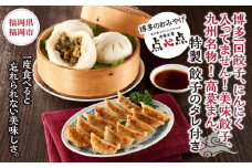 【博多のおみやげ　中華工房 点心点】博多一口餃子、にんにく入ってません！美味餃子、九州名物 ！高菜まん、特製 餃子のタレ付き