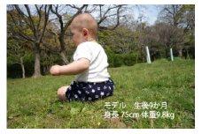 伝統工芸品“絣”を使った【ちょうちんブルマ】 《福岡市製造　by　TAKUMI Collection》【紺 井桁×アラレ】 タクミコレクション 匠コレクション TAKUMI Collection