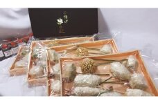博多の老舗　季節の串揚げ詰め合わせ　40本セット