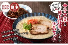【中華工房　点心点】辛子高菜と博多ラーメン15食セット【豚骨ラーメン】