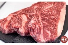 博多和牛　サーロインステーキ　750g ＜ご入金確認後1ヶ月～2ヶ月後の発送＞