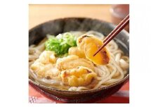 博多ごぼう天うどん　10食セット【一部離島配送不可】