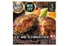 糖質オフ 博多和牛100％ 特製ハンバーグ 【箔】 3個 ソース付 糖質OFF