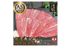 希少部位厳選！特選カルビ 博多和牛 A5 700g