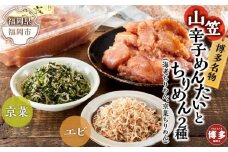 博多名物山笠めんたいとちりめん2種(海老ちりめん、京菜ちりめん）