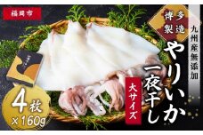 博多製造　九州産無添加やりいか一夜干し（大サイズ・160ｇ×4）