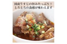 【福岡市】牛すじ煮込み５個セット