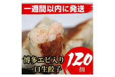 博多エビ入り一口生餃子 120個 小分け便利8パック　創業40年以上福岡老舗会社製造　【1週間以内に発送！】