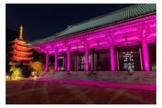 博多旧市街ライトアップウォーク2024千年煌夜　エクスプレスパス引換券（11月1日優先入場）1名様分