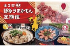 博多うまかもん３回定期便 あまおう1.5kg・水炊き2～3人前・ごま鯖2パック・明太子180g