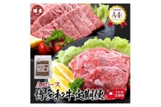 福岡県産 黒毛和牛A4ランク以上の博多和牛！ 3か月定期便 Aコース