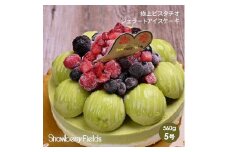 【福岡市】極上ビスタチオジェラートアイスケーキ　5号　15cm径　ストロベリーフィールズ
