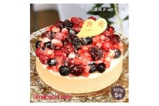 【福岡市】ベリーの濃厚チョコケーキ　5号　15cm径　ストロベリーフィールズ