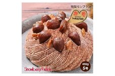 【福岡市】特製モンブラン（ホールケーキ）　5号　15cm径　ストロベリーフィールズ